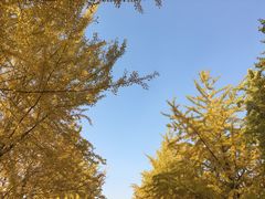 -辽宁大学(崇山校区)