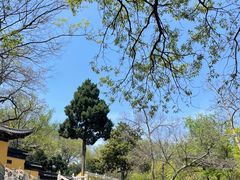 -虞山风景区