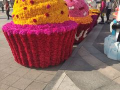 -荷兰花海