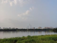 -海珠湖公园