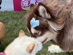 -上海神旺大酒店