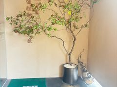 -宫七SPA·高端Massage(浦东大道店)