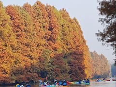 -上海海湾国家森林公园