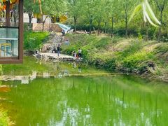 -西部长青自然儿童乐园