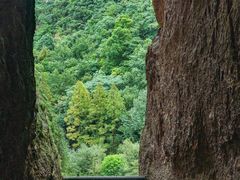 -雁荡山风景名胜区