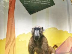 -陕西自然博物馆