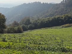 -敬亭山风景名胜区