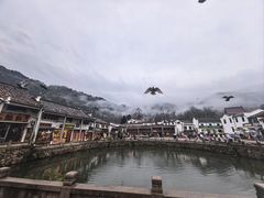 -九华山风景区