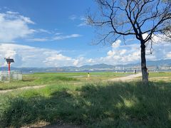 -洱海月湿地公园