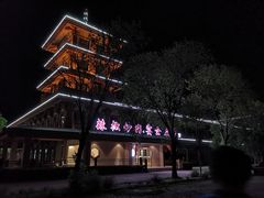 -京津新城温德姆至尊酒店(珠江大道店)