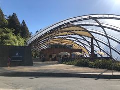 -怀托摩萤火虫洞