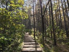 -帽儿山国家森林公园