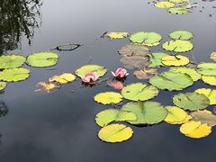 -石塘人家