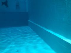 -上海潜殿潜水中心