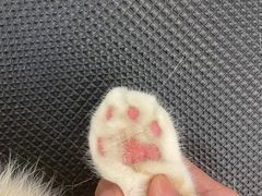 -comecome来吧宠物(奥克斯中心店)