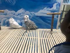 -成都浩海立方海洋公园