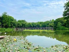 -西溪国家湿地公园