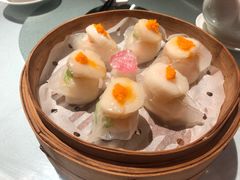 -新同乐鱼翅酒家(美丽华店)