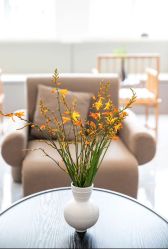 -悦尚生活空间•瑜伽普拉提•悦心芳香疗愈SPA