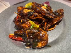 -太食獸泰式茶餐厅(IFS国金中心店)