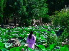 -莲池书院博物馆