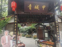 -青城甲(青城山店)