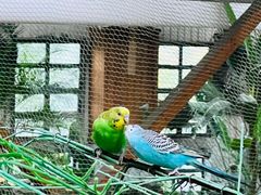 -南宫五洲植物乐园