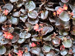 -衡山路(地铁站)