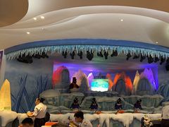 -帝企鹅自助餐厅•儿童岛•真企鹅(长隆企鹅酒店)