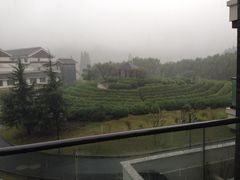 iphone_upload_pic-余姚阳明温泉山庄