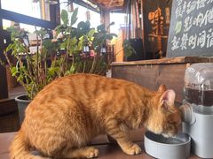 -马灯部落·西湖边的创意山景餐厅(虎跑动物园店)