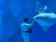 -上海海昌海洋公园-冰山北极馆