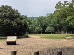 -灵谷景区