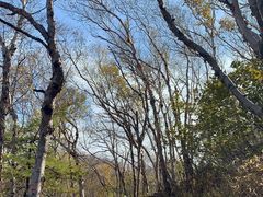 -白草畔自然风景区