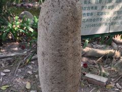 -亚龙湾国际玫瑰谷
