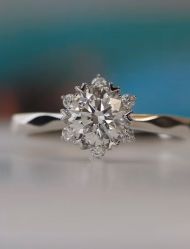 -钻石小鸟钻戒婚戒定制(石路店)