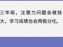 -金色雨林学习力培优(专注力提升)