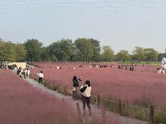 -汉长安城未央宫国家考古遗址公园