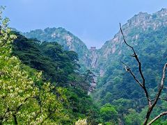 -泰山风景名胜区