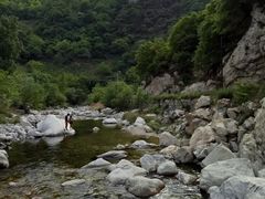 -沣峪口