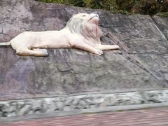 -哈尔滨北方森林动物园