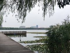 -暨阳湖生态园