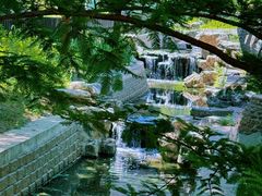 -白水寺森林公园