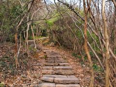 -采石矶景区