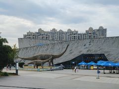 -安徽省地质博物馆