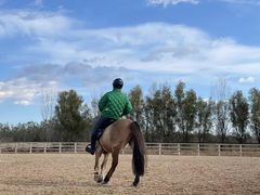 -北京群众马术培训基地