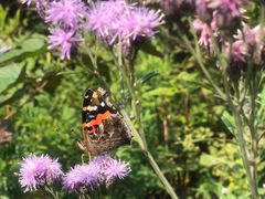 -鹫峰国家森林公园