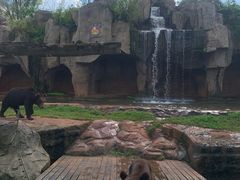 -海南热带野生动植物园
