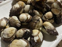 -胖大嫂渔家排档·全海景餐厅(渔村店)