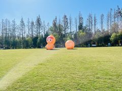 -前小桔亲子创意农场·草莓采摘·露营烧烤